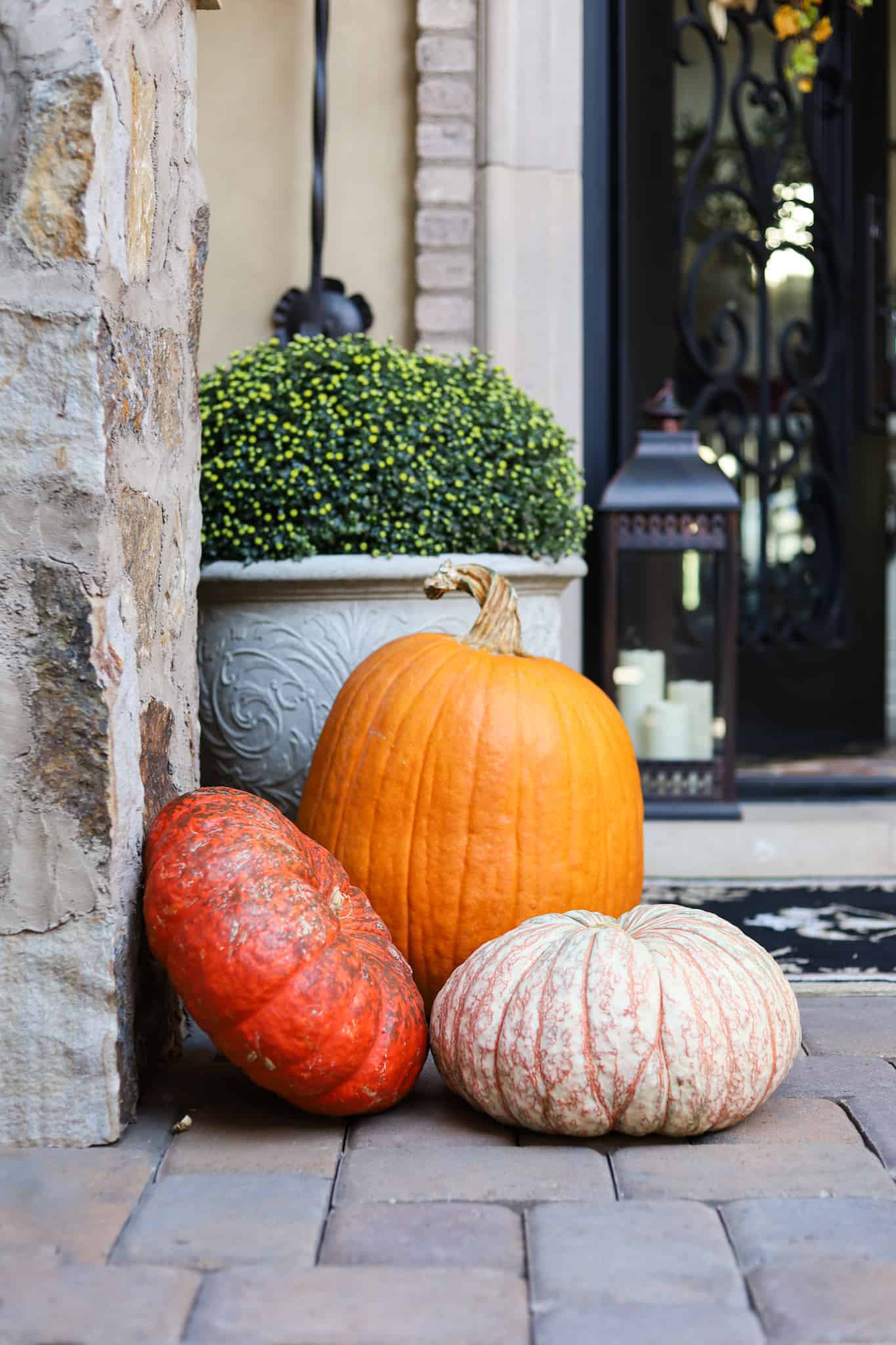denver colorado interior designer Halloween decorating pumpkins